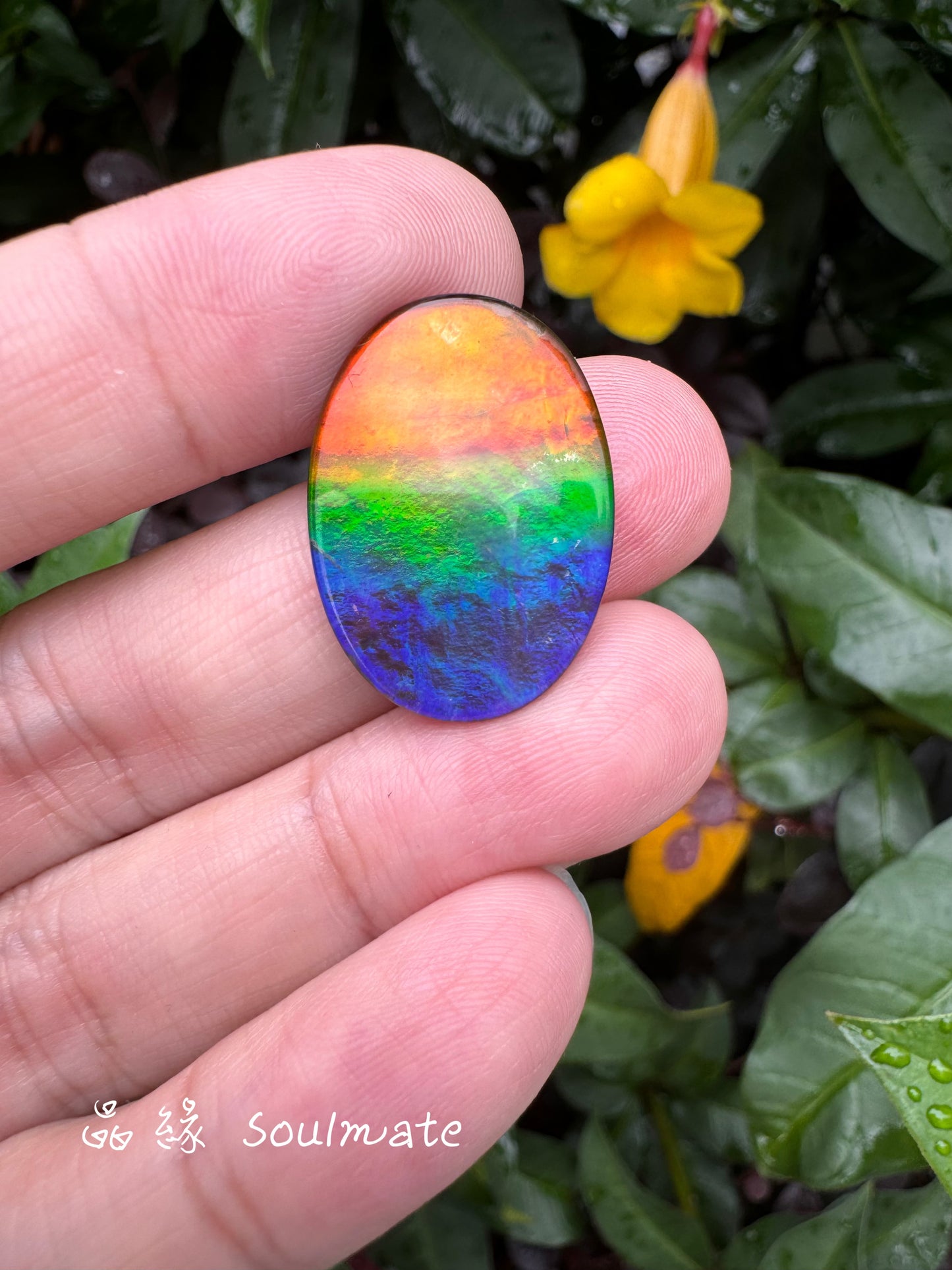 斑彩石裸石 18x25mm