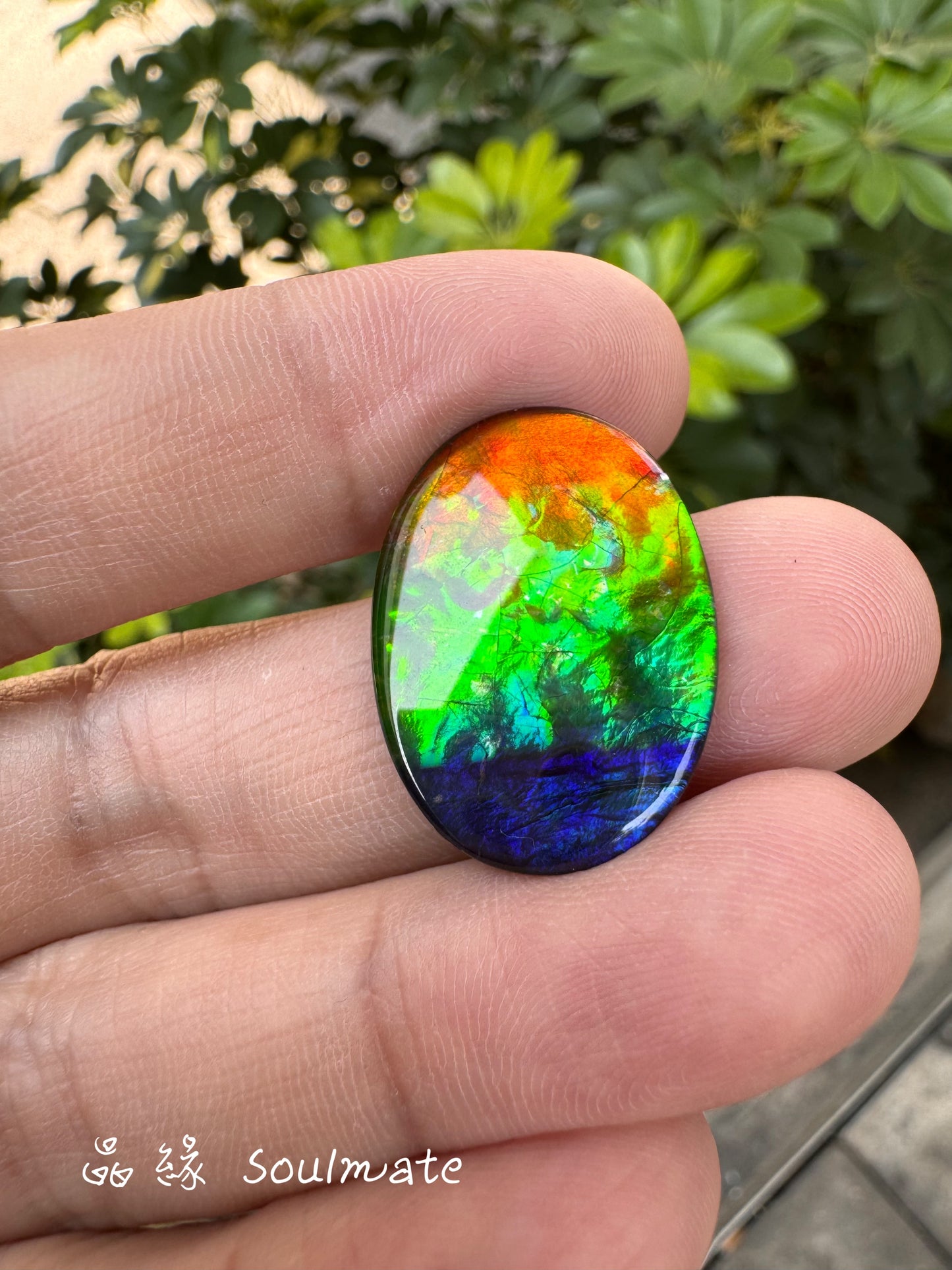 斑彩石裸石 18x25mm