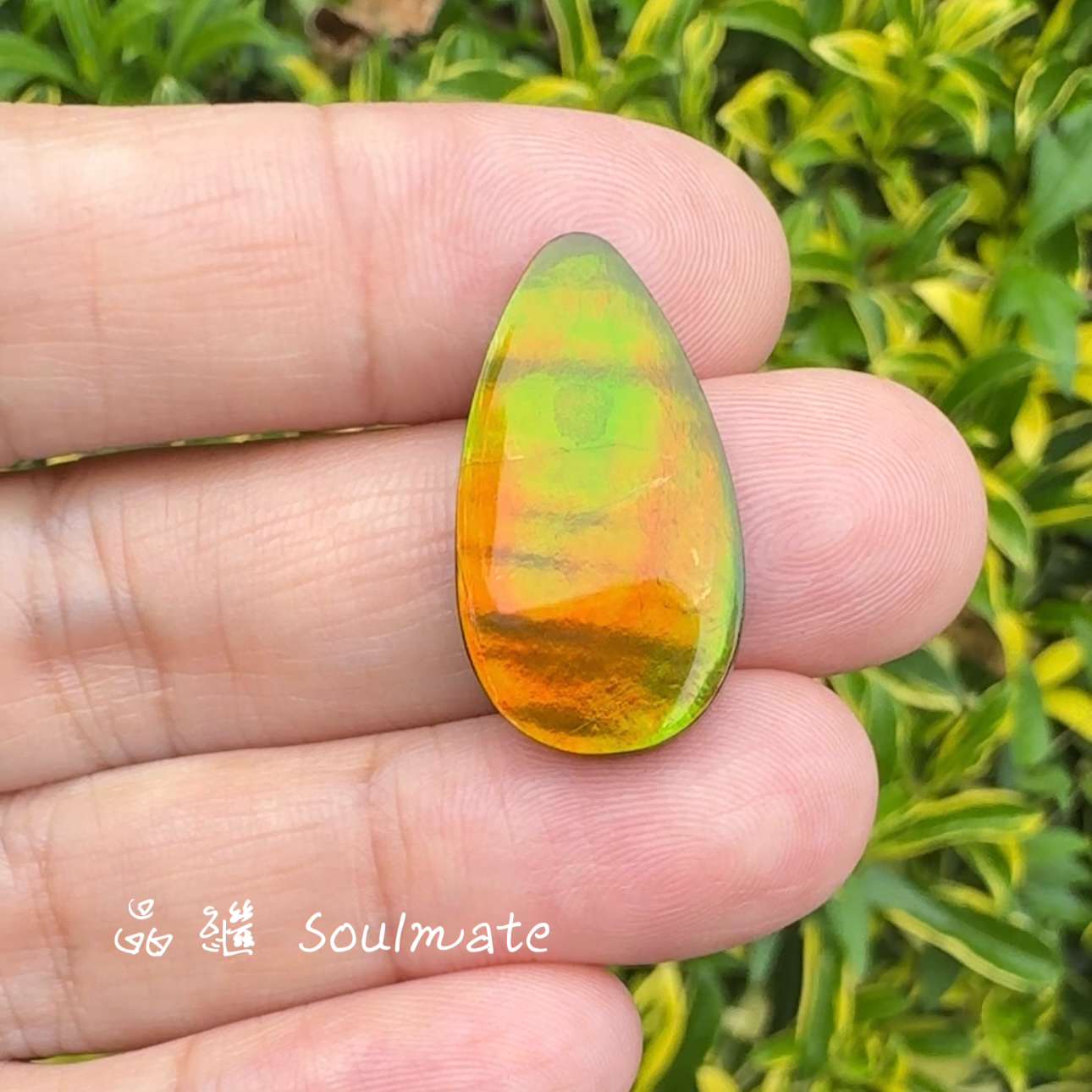 斑彩石裸石 14x25mm