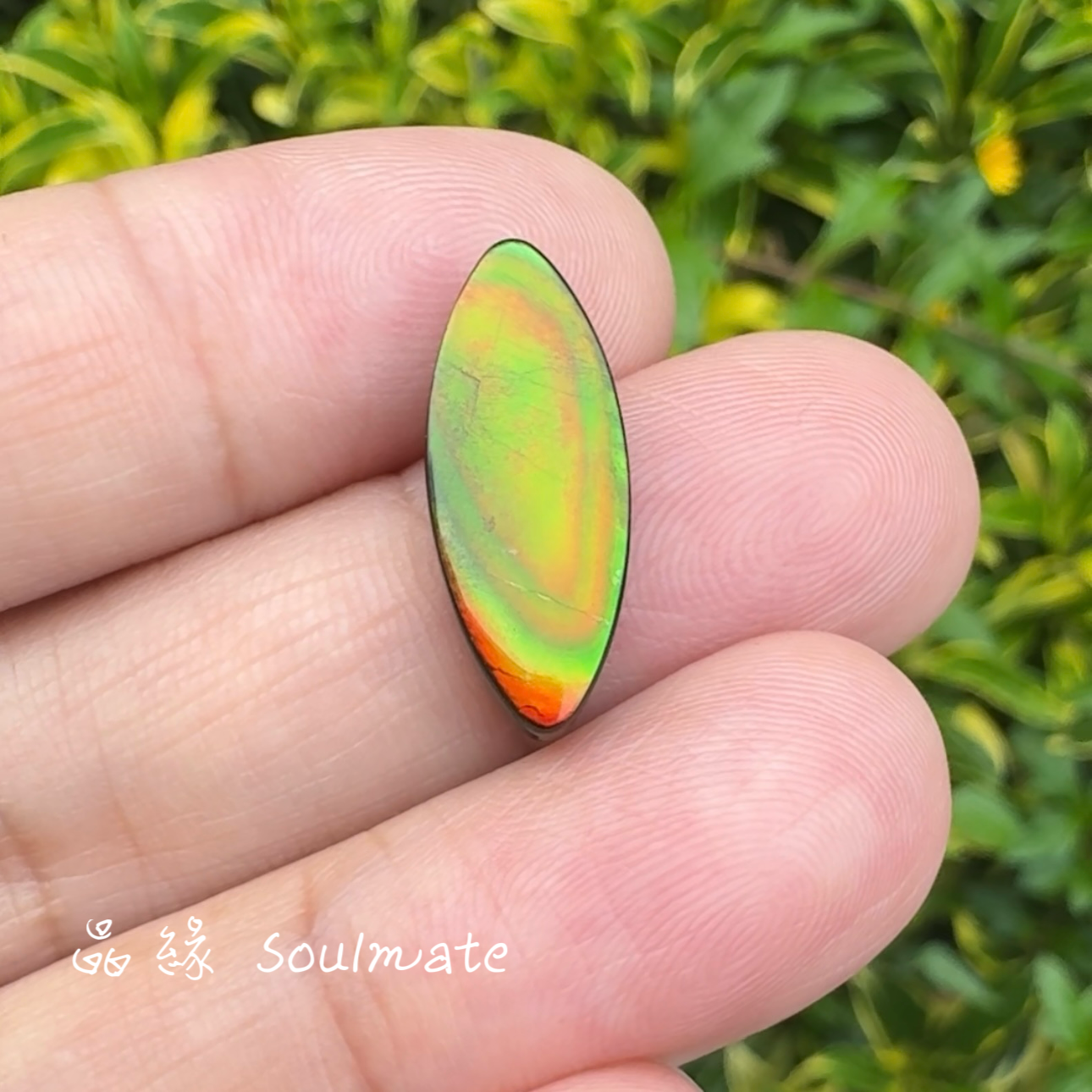 斑彩石裸石 8x20mm