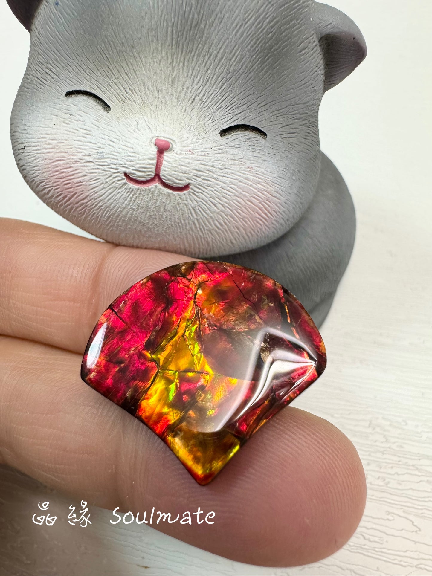 斑彩石裸石 22x24mm