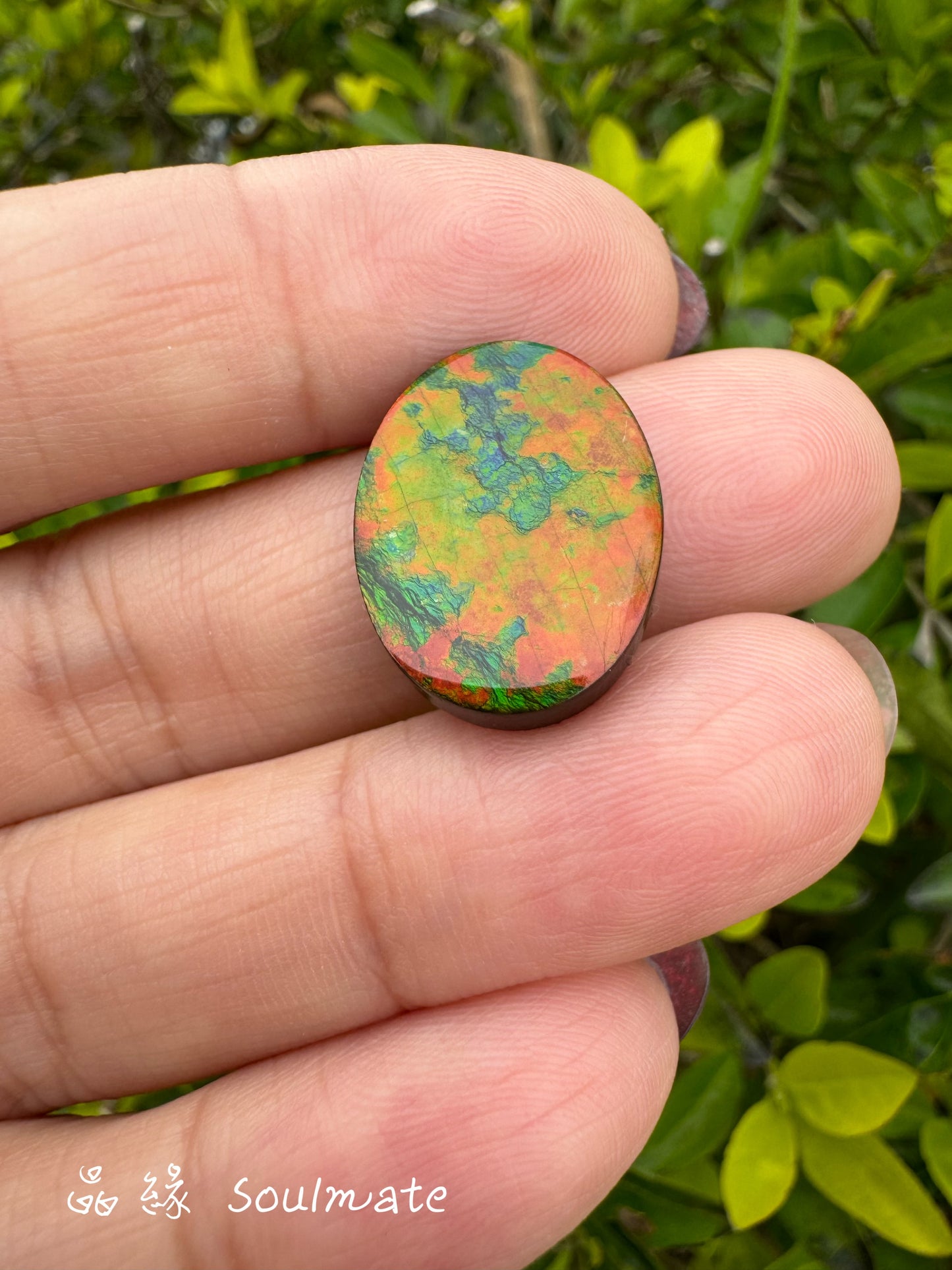 斑彩石裸石 15x20mm