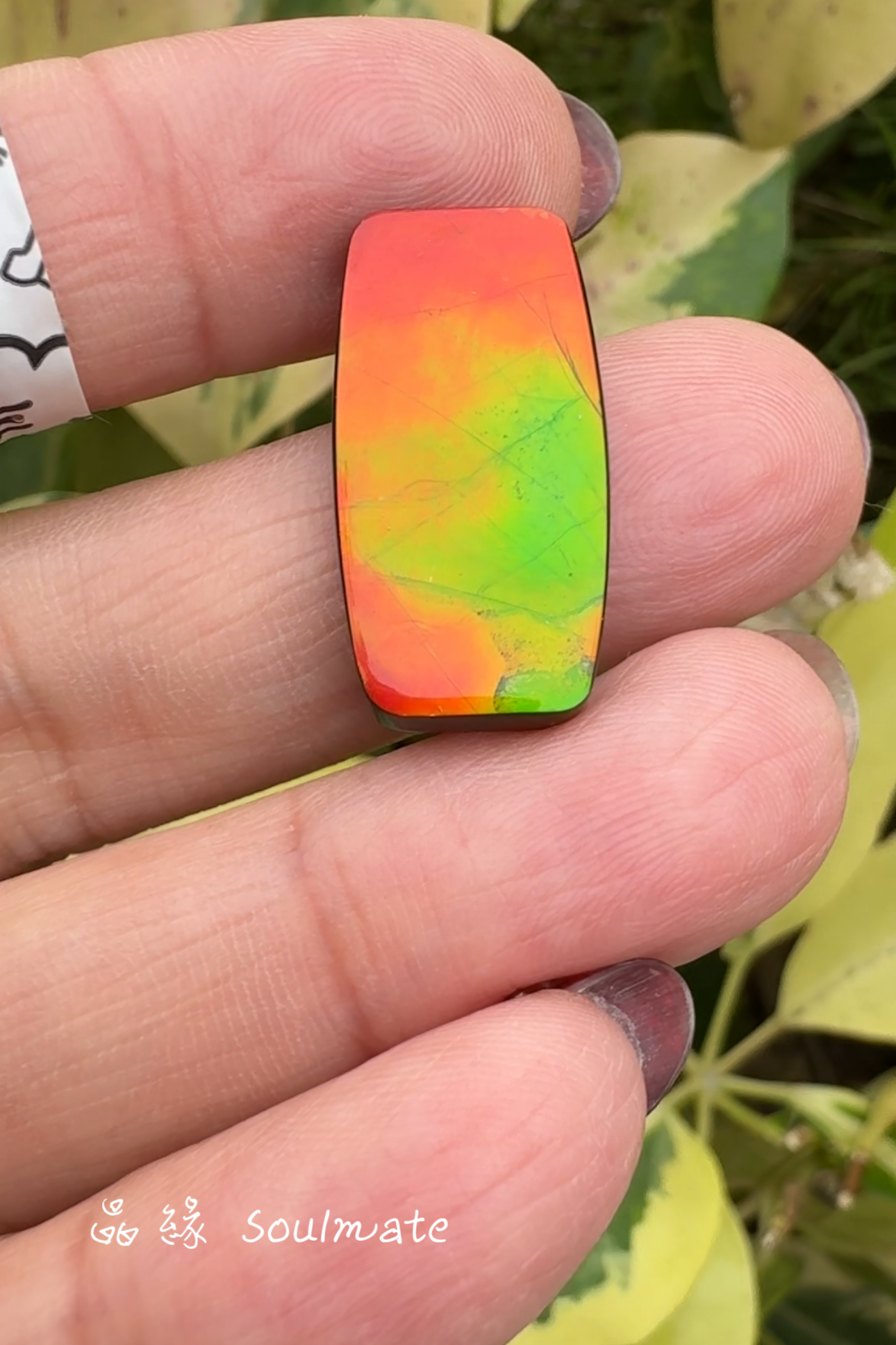 斑彩石裸石 12x25mm