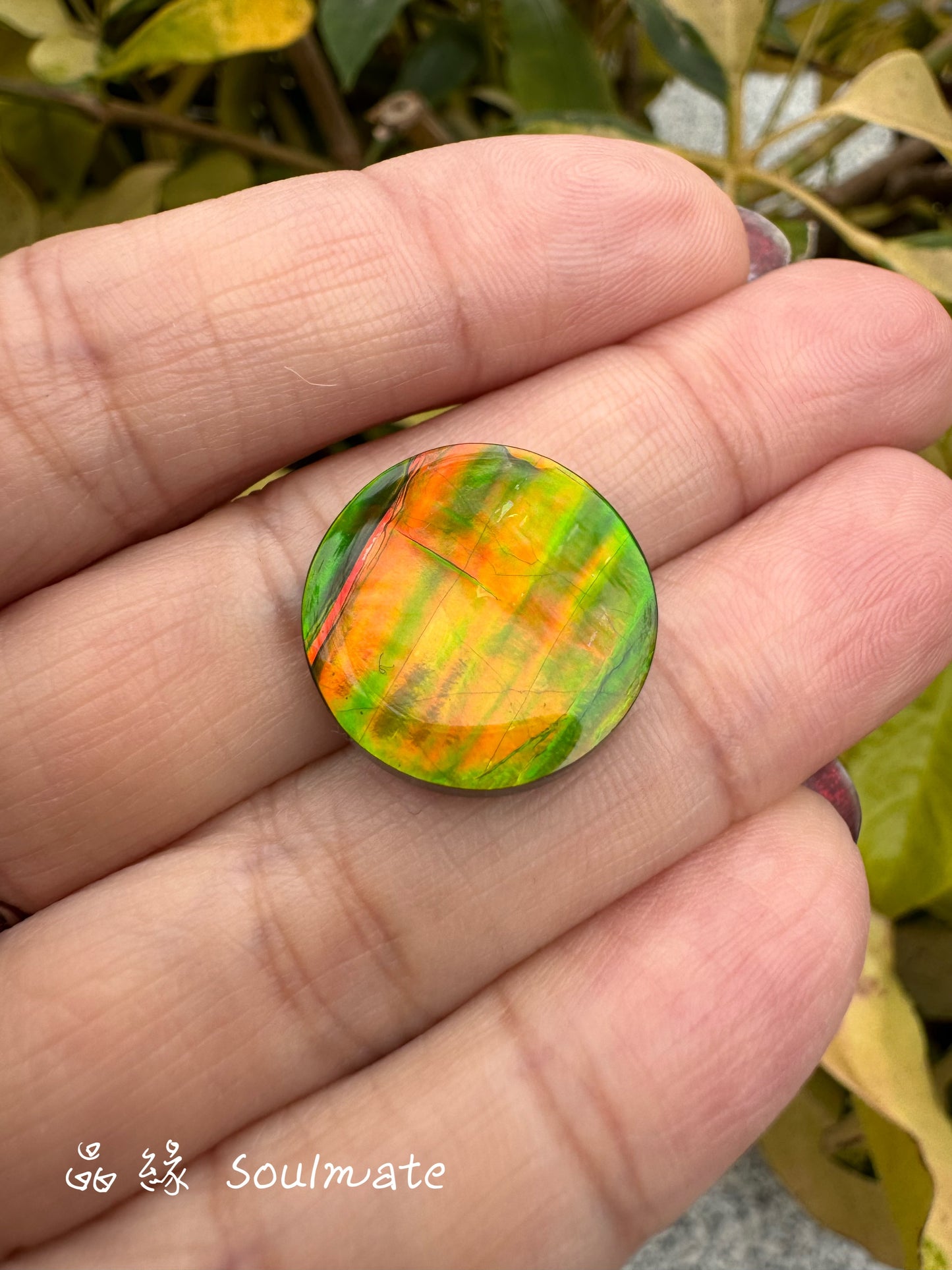 斑彩石裸石 17mm