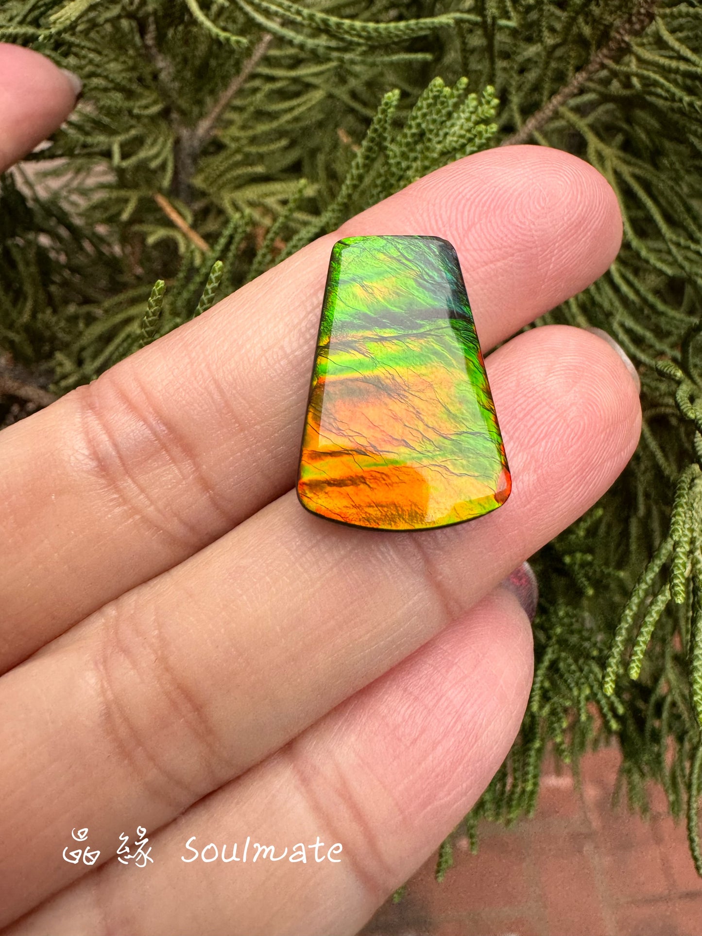 斑彩石裸石 15x21mm