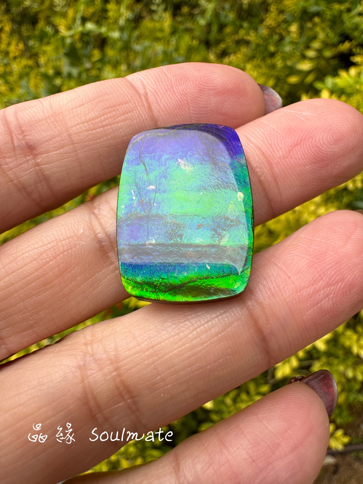 斑彩石裸石 19x26mm