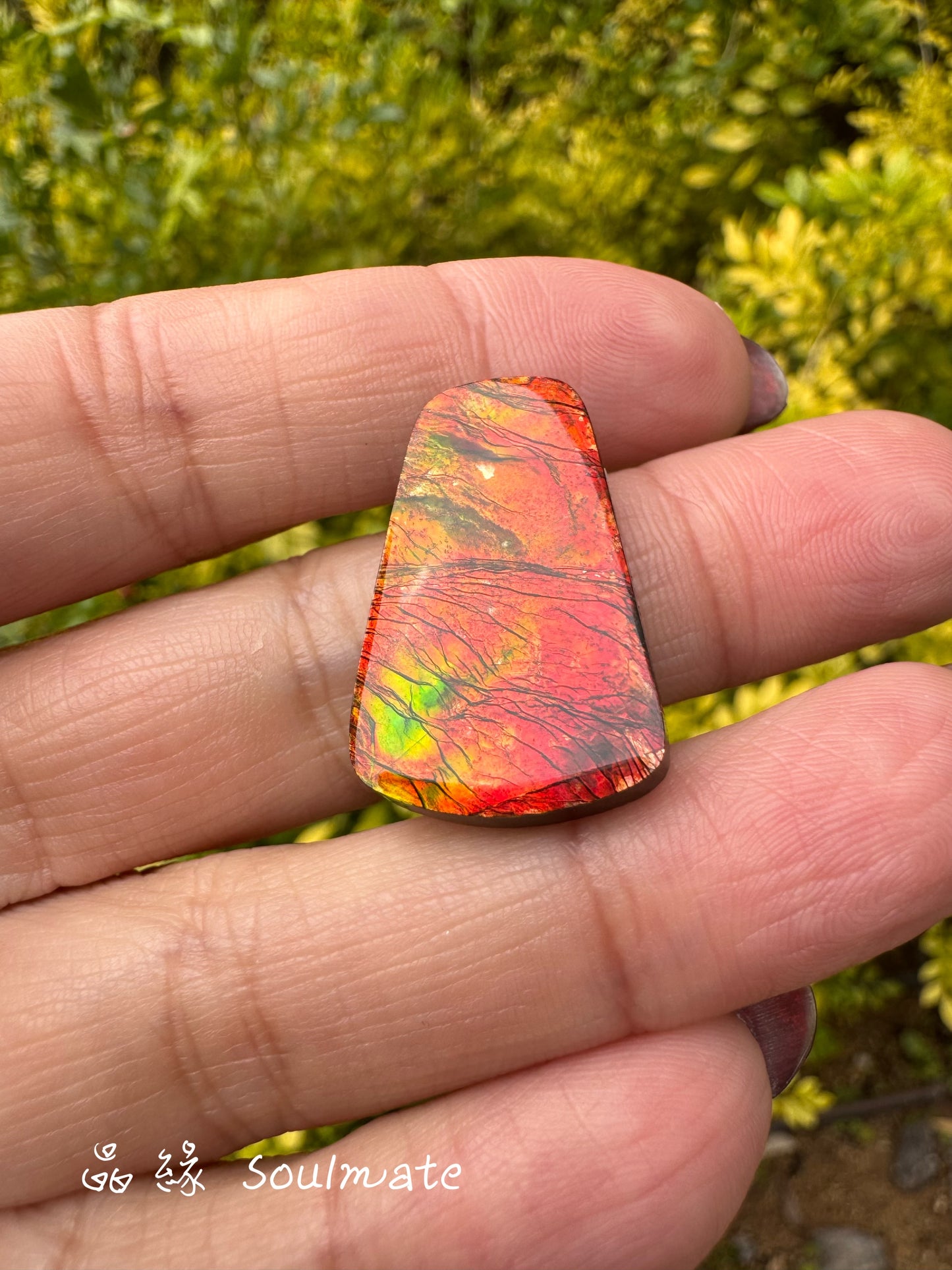 斑彩石裸石 17x26mm