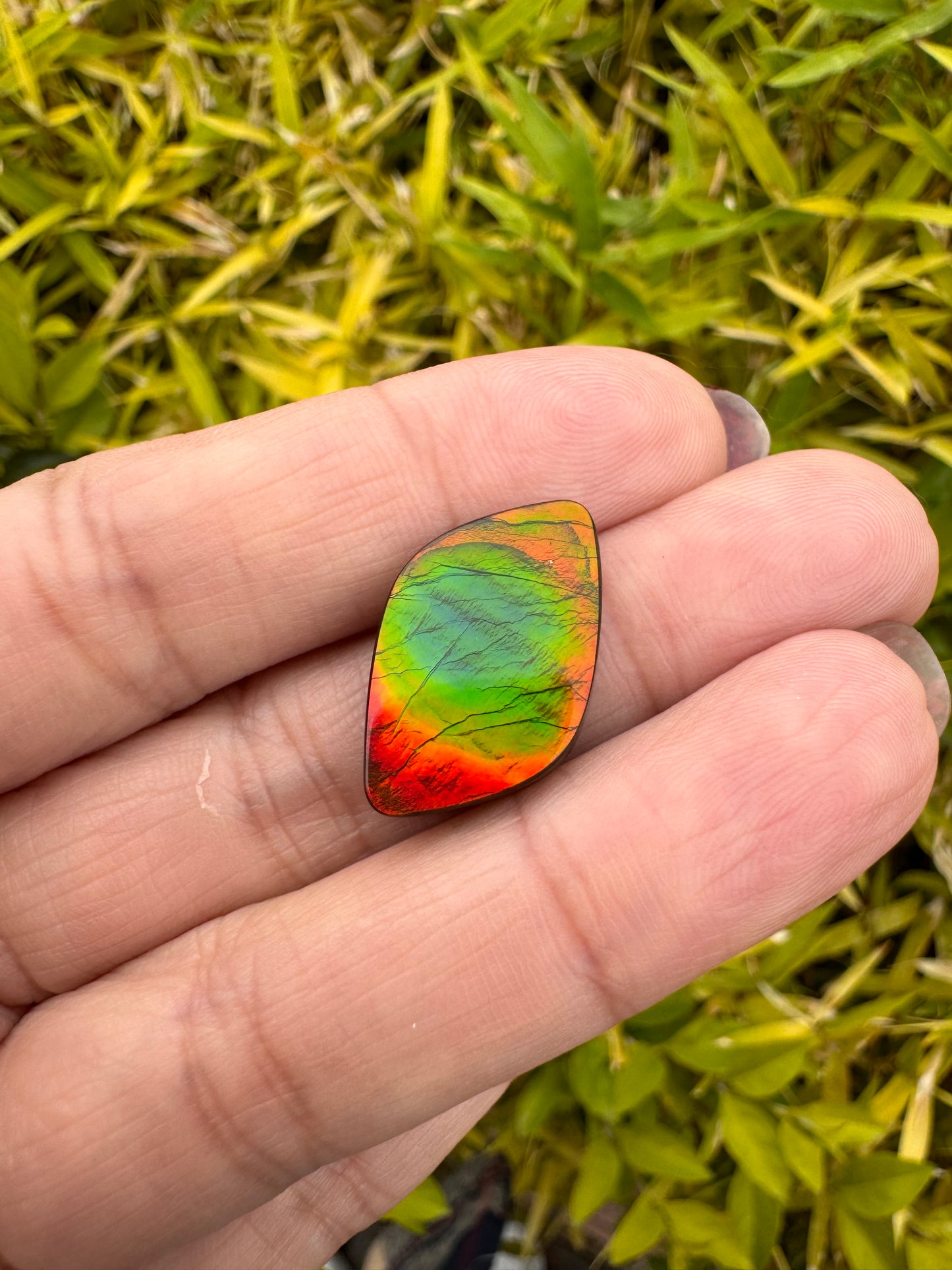 斑彩石裸石 14x22mm