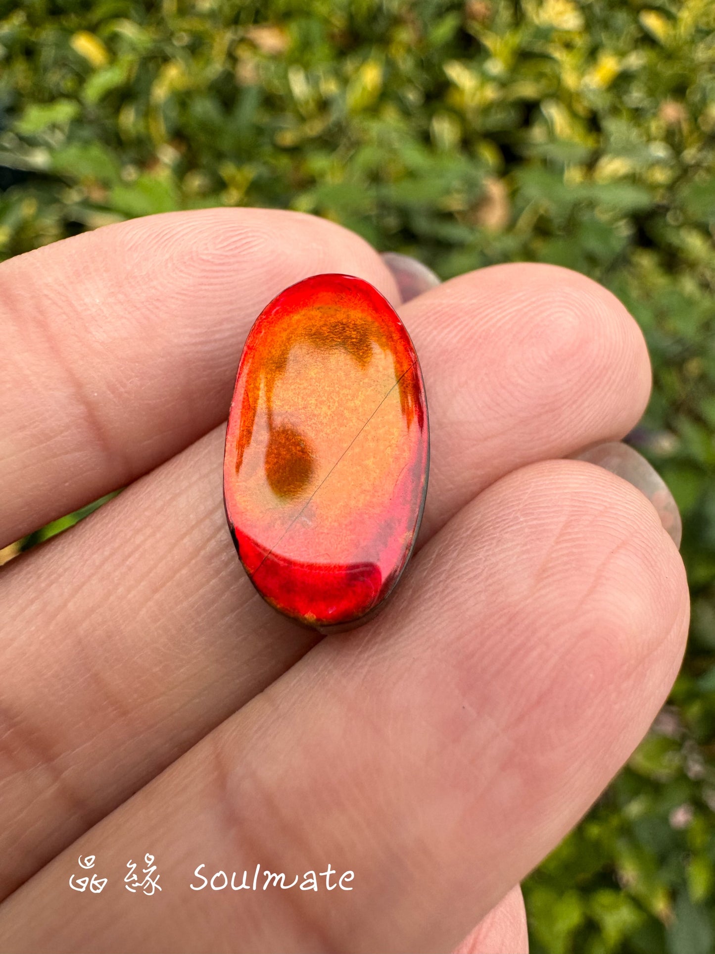 斑彩石裸石 10x19mm