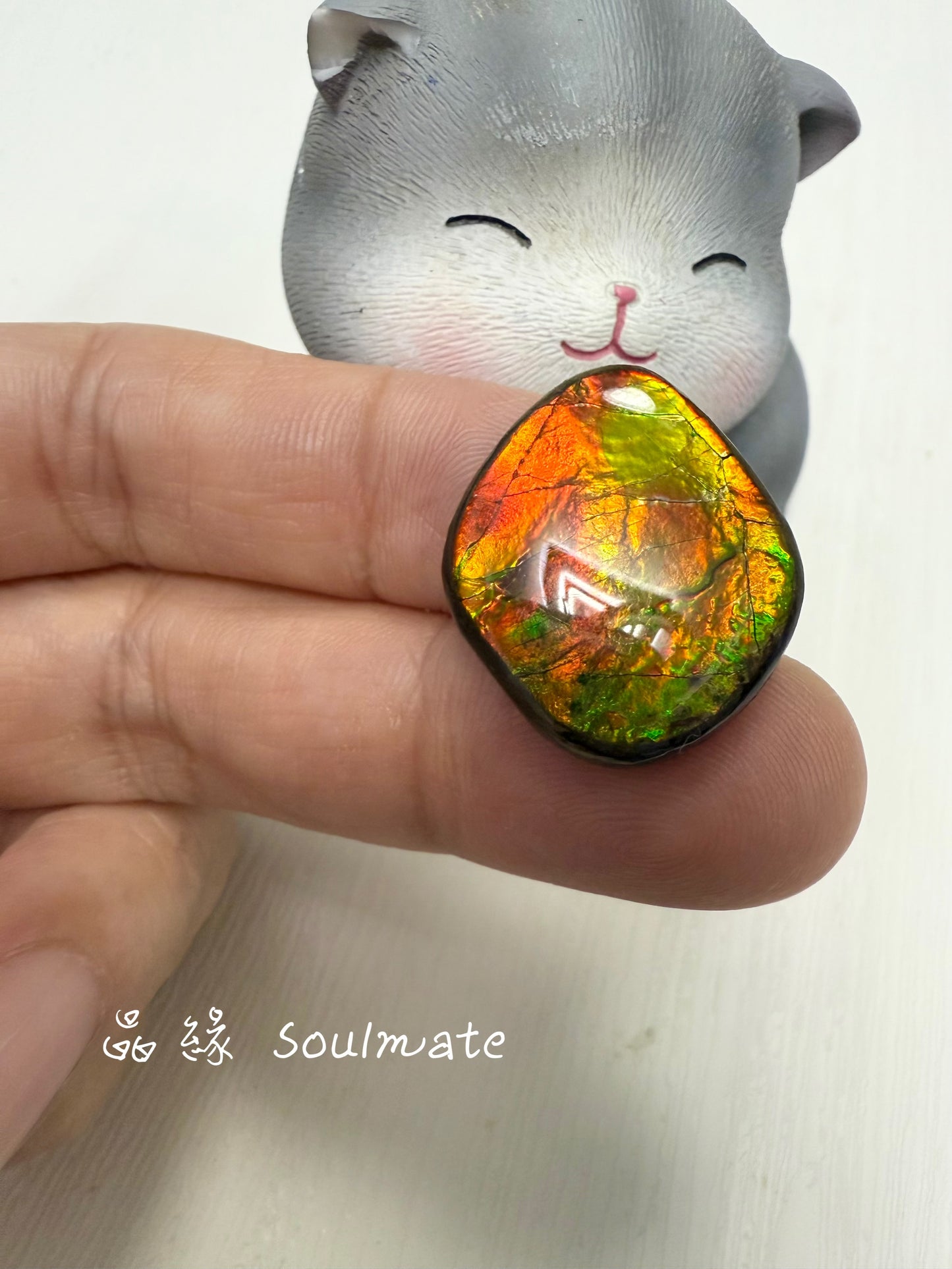 斑彩石裸石 19x22mm