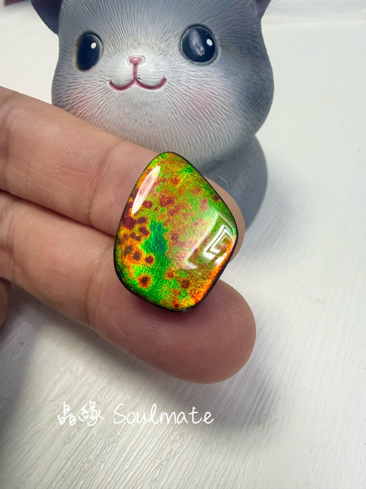 斑彩石裸石 17x23mm