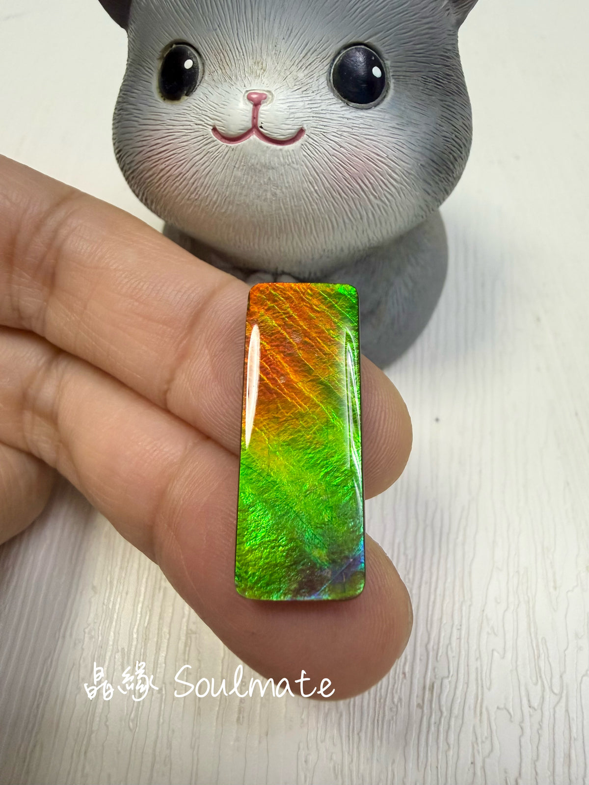 斑彩石裸石 10x28mm
