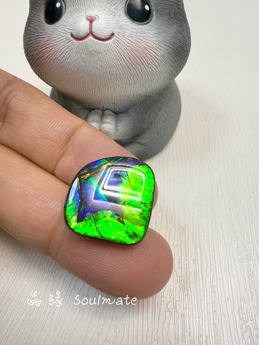 斑彩石裸石 20x23mm